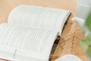 自考本科南京師范大學(xué)漢語(yǔ)言文學(xué)論文范文