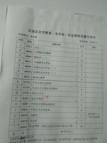 自考小教本科難嗎