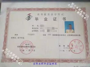 成人本科自考本科哪個好