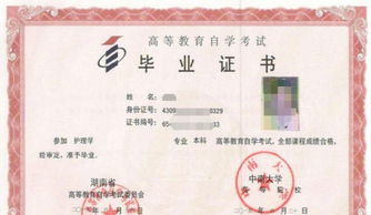 自考土木工程本科有英語二嗎