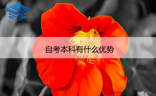 自考本科落戶優(yōu)勢