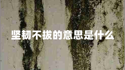 堅韌不拔的意思是什么