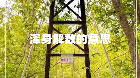 渾身解數(shù)的意思