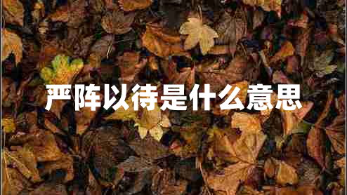 嚴(yán)陣以待是什么意思