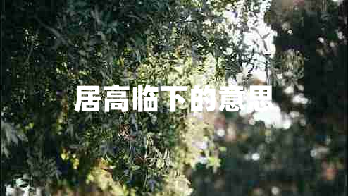 居高臨下的意思