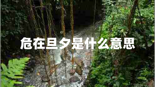 危在旦夕是什么意思