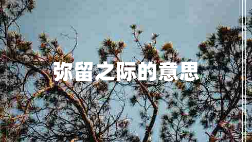 彌留之際的意思