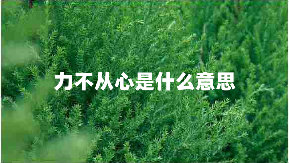 力不從心是什么意思