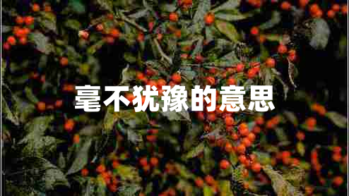 毫不猶豫的意思