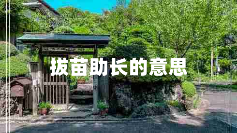 拔苗助長的意思