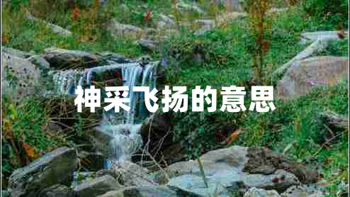 神采飛揚的意思