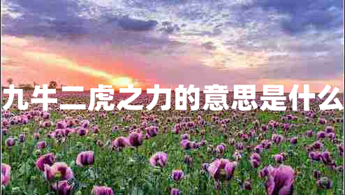 九牛二虎之力的意思是什么