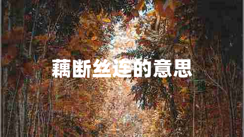 藕斷絲連的意思