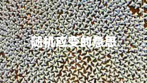 隨機(jī)應(yīng)變的意思