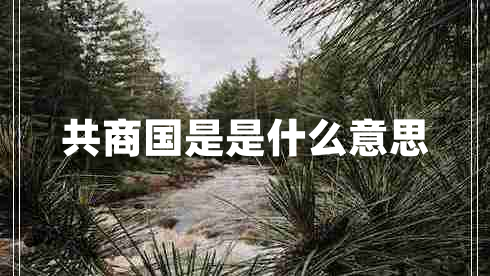 共商國是是什么意思