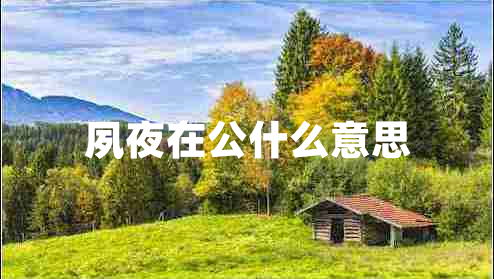 夙夜在公什么意思