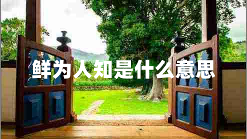 鮮為人知是什么意思