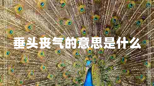 垂頭喪氣的意思是什么