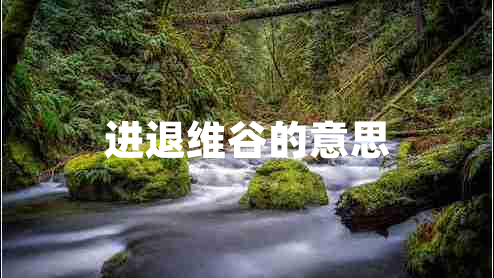 進(jìn)退維谷的意思