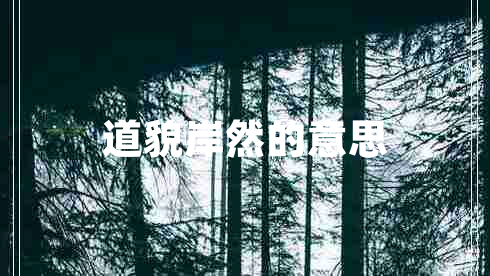 道貌岸然的意思