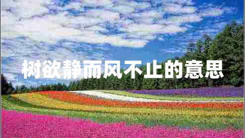樹欲靜而風(fēng)不止的意思