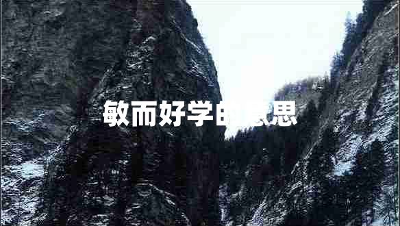 敏而好學(xué)的意思