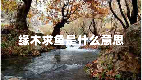 緣木求魚是什么意思