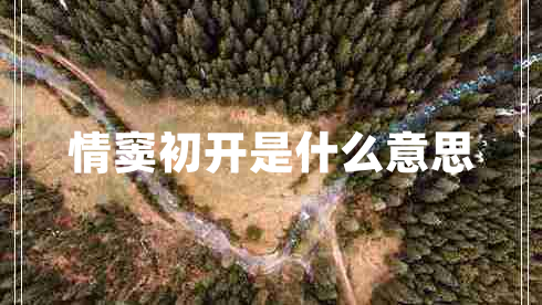 情竇初開是什么意思