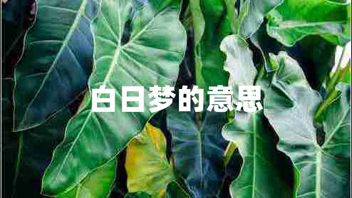 白日夢的意思