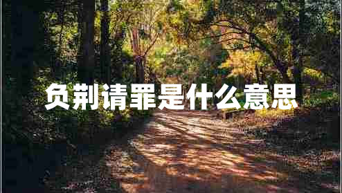 負(fù)荊請(qǐng)罪是什么意思