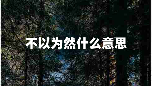 不以為然什么意思