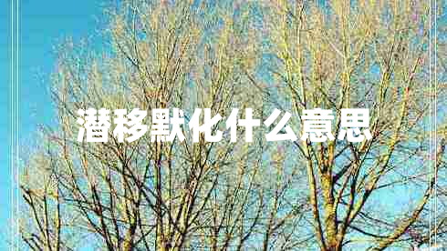 潛移默化什么意思