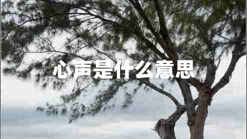 心聲是什么意思