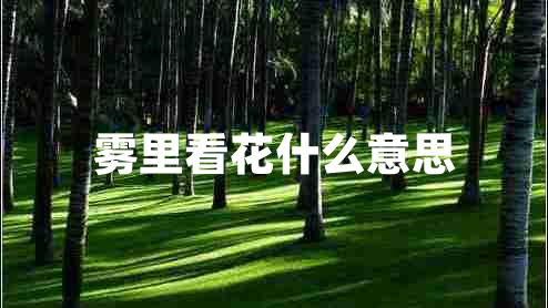 霧里看花什么意思