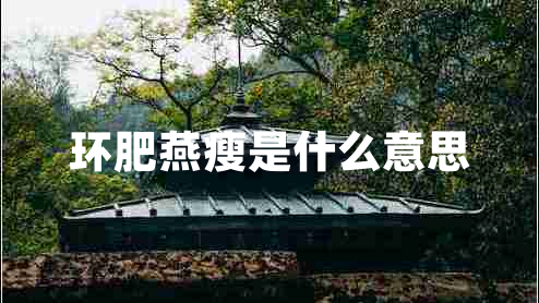 環(huán)肥燕瘦是什么意思