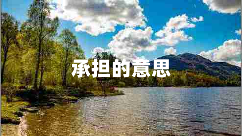 承擔(dān)的意思