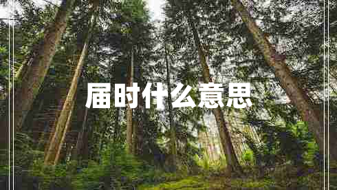 屆時(shí)什么意思