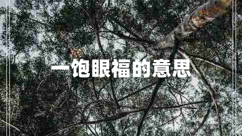 一飽眼福的意思