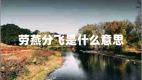 勞燕分飛是什么意思