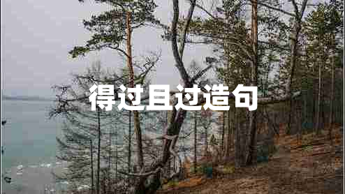 得過(guò)且過(guò)造句