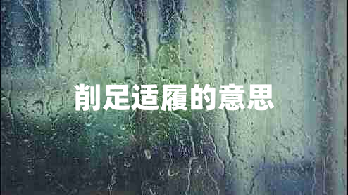 削足適履的意思