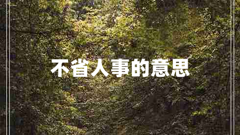 不省人事的意思