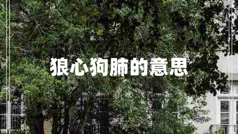 狼心狗肺的意思