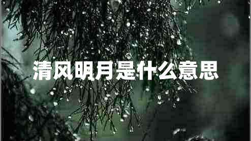 清風(fēng)明月是什么意思
