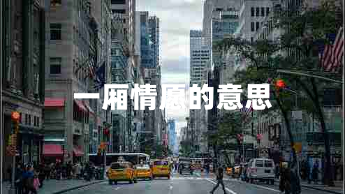 一廂情愿的意思