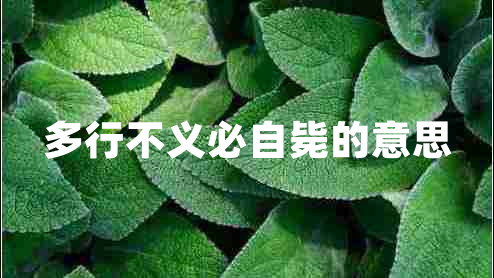 多行不義必自斃的意思