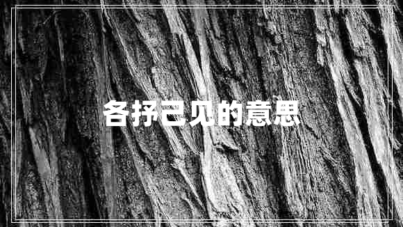 各抒己見的意思