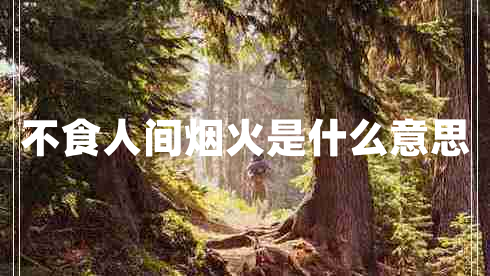 不食人間煙火是什么意思