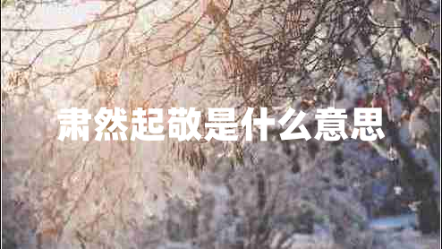 肅然起敬是什么意思