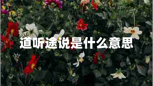 道聽途說(shuō)是什么意思